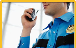 RTSeguridad servicio de seguridad